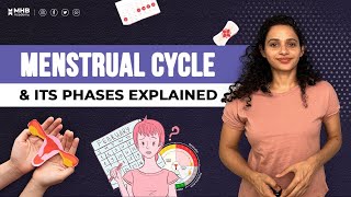 What is The Menstrual Cycle Menstrual Cycle Phases EXPLAINED [upl. by Alhan716]