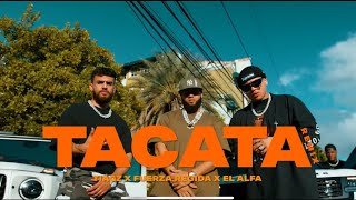 Tiagz X Fuerza Regida X El Alfa  TACATA REMIX Official Video [upl. by Lemak500]