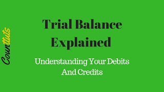 Trial Balance Explained  Understanding Your Debits And Credits [upl. by Debera760]