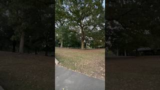 Places To Visit in Raleigh NC  Pullen Park [upl. by Eelan]