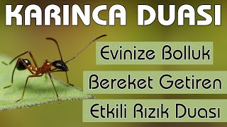 Karınca duası dinle Bereket Rızık duası dinle 99 Kere  Evinize Bol Rızık için KARINCA DUASI [upl. by Nonnarb]