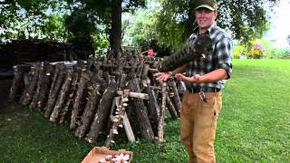 Agroforestry Cultivation of Shiitake Mushrooms [upl. by Diogenes]