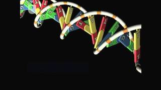 Gene To Protein Overview  DNA RNA and Protein Formation 47 [upl. by Nah]