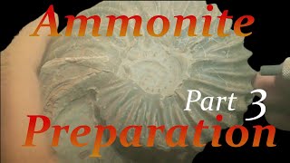 Ammonite preparation Hoplites from Troyes Part 3 [upl. by Izak]