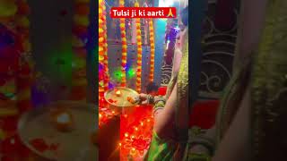 Jai Tulsi Mata youtubeshorts sortreelsvideo videoviral tulshivivah tulsimatabhajan [upl. by Wey]