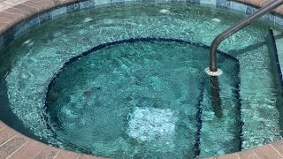 ASMR Relaxing Pool Water Hot Tub Birds  Tina Lee [upl. by Anitnauq287]