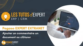 Pegase Expert Extranet  Ajouter un commentaire un document ou clôturer [upl. by Anitsahs]