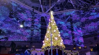 Christmas At Gaylord Palms Resort  Orlando [upl. by Clifton510]