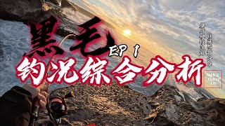 【Jacks Fishing life vlog142】 2024黑毛季 如何钓到黑毛 黑毛习性全面分析drummer fishinghow to catch drummer悉尼钓鱼钓鱼 [upl. by Gnolb]