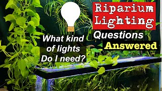 ☀️🌿Riparium lighting questions ANSWERED🌿☀️ [upl. by Dredi489]