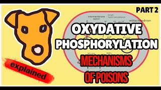 Oxidative Phosphorylation Poisons Biochemistry for Step 1 [upl. by Parks]