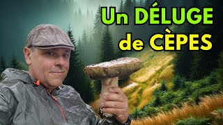 UN DÉLUGE DE CÈPES  CEST TRÈS BIEN PARTI  cepes 2024 nature asmr [upl. by Narine]