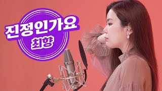 최향  진정인가요💕트롯전국체전 8도올스타의 킬링트로트 라이브 [upl. by Padget]