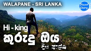 කුරුඳු ඔය ඇල්ලට  Must watch befor you go Kurundu Oya Ella Sri Lanka  travel with shala [upl. by Nosnor674]