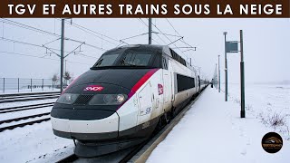 TGV et autres Trains sous la neige [upl. by Cheshire]