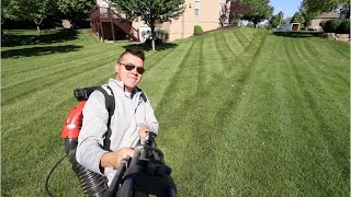 Mowing A Lawn From Start To Finish [upl. by Pohsib]