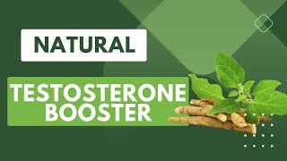 Natural Testosterone Booster  Foods amp Supplements [upl. by Sedaiuqlem]