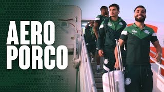 PALMEIRAS NA ARGENTINA [upl. by Nylla]