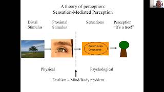 EXP3204 Sensation and Perception Part 3 [upl. by Arihppas]