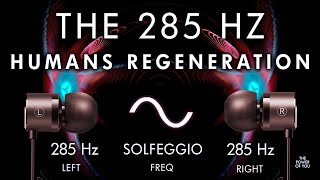 Humans Regeneration  285hz Brain Hemisphere Synchronization [upl. by Nnaaihtnyc]