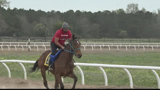 Elloree Trials expected to bring thousands to Orangeburg County [upl. by Harihat851]