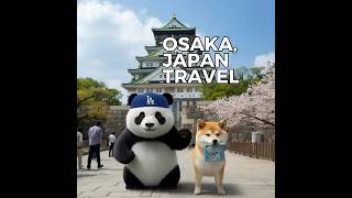 Shiba Inu and Pandas Trip to Osaka cute animals [upl. by Devinna847]