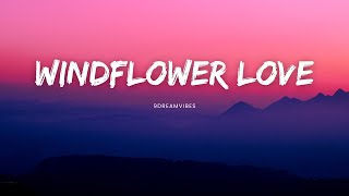 Windflower Love  9Dreamvibes Official Audio Song [upl. by Elwin705]