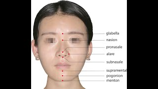 Anatomy of the Nasion  Bridge of the nose [upl. by Lucila871]