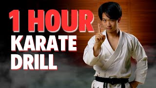 1 Hour Karate Workout Video [upl. by Larkins537]