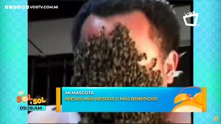 ¿Porqué son tan importantes las abejas en la vida del ser humano [upl. by Eihpos711]