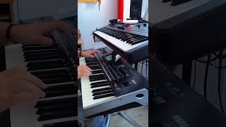 Golubica  Amil B  KORG Pa3X  Live 2024 [upl. by Margy]