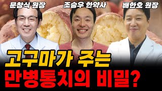 고혈압에서 암까지 대동단결 고구마 하나로 내 몸 지키는 방법 이렇게 꼭 드세요 조승우 한약사 배한호 원장 문창식 원장 통합 [upl. by Dressler]