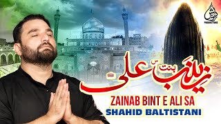 Zainab Bint e Ali sa Shahid Hussain Baltistani  Noha Album Qabr Aur Darvaish  200708 [upl. by Alicul]