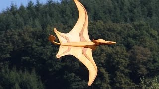 Flugsaurier Pteranodon über Camping amp Ferienpark Teichmann am Edersee 2013 Wasserflug [upl. by Rimat111]