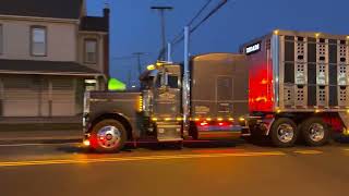 Peterbilt 379 Bull Rack Straight Piped Jake Brake [upl. by Orlov]