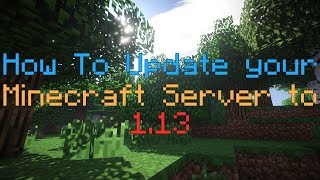 How To Update your Minecraft Server to 113 and 1132 [upl. by Yorel657]