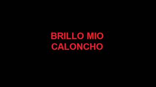 BRILLO MIO  CALONCHO KARAOKE [upl. by Kai]