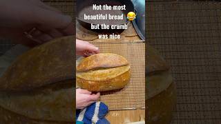 How to bake a overfairmented sourdough loaf sourdough sauerteig sourdoughbread sauerteigbrot [upl. by Kcaj]