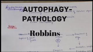 Autophagy Pathology Robbins Explained in hindi [upl. by Assirral301]