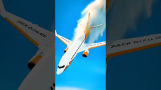 How To Survive A Plane Crash 😨  Melon Playground plane [upl. by Avihs]