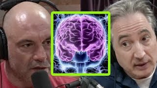 Brian Greene and Joe Rogan Consciousness and Psychedelics [upl. by Edmondo]