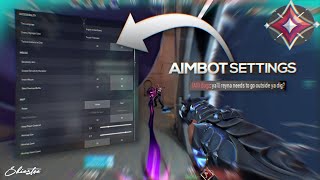 THE SECRET AIMBOT SETTINGS IN VALORANT [upl. by Beryle]