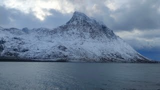 SeaChef is live Norway [upl. by Christin565]