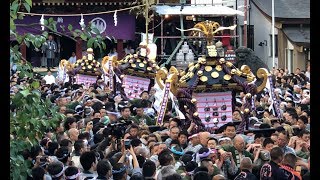 浅草神社例大祭「三社祭」2018 宮出し～本社神輿各町渡御 [upl. by Ycak]