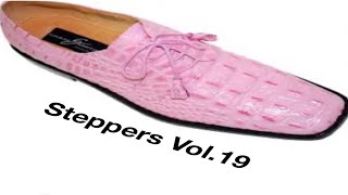 Steppers Vol 19 [upl. by Aleafar435]