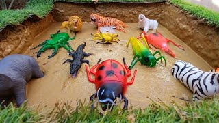 Heavy equipment stuck in mud 🐅🐞 Stuck in the mud full episode 🦓🐍 Zebra Adventures [upl. by Clynes]