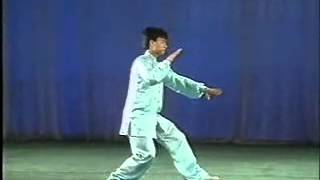 IWUF Compulsory Taijiquan Routine 1st Set [upl. by Artus635]