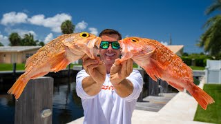 BEST Way to fillet Blackbelly Rosefish [upl. by Delorenzo153]