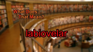 What does labiovelar mean [upl. by Eceer]