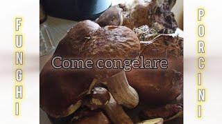 Come congelare i funghi porcini come fossero freschi [upl. by Oak897]